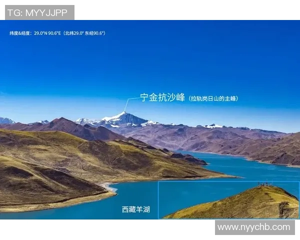 探索星空综合官方平台的功能与使用指南全方位解读